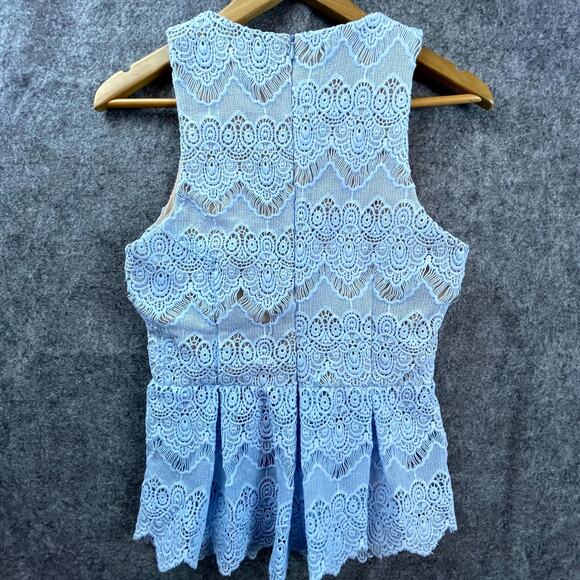 Greylin Peplum Top Womens Small Blue Floral Lace Pastel Deep V Coquette Fairy - Picture 2 of 6